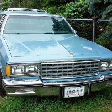 1984 Chevy Caprice Stationwagon – $6000 (Luna Pier)