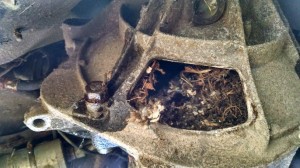 IMG_20140723_195023051_HDR