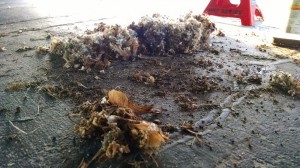 IMG_20140723_195523600