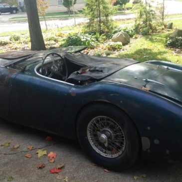 1955 Austin Healey 100M (Dealer M) very rare”barn-find”