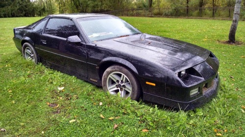 IMG_20141004_103753152_HDR