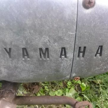 Yamaha Enduros and Honda Mopeds