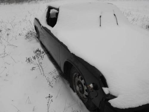 00t0t_iYc8jsSUgHk_600x450