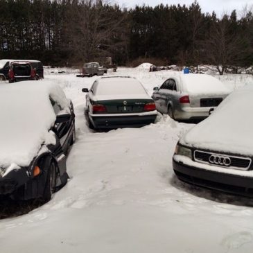 Four 914s, Three Hour Drive, Two BMWs and a Partridge Sitting Next to Audis