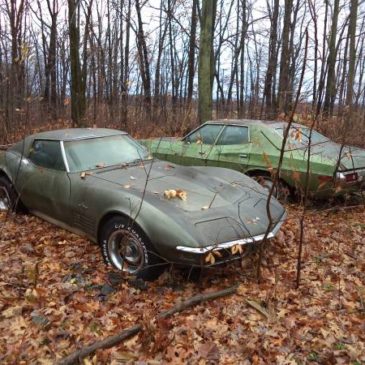 corvette 72 torino 73 (linden)