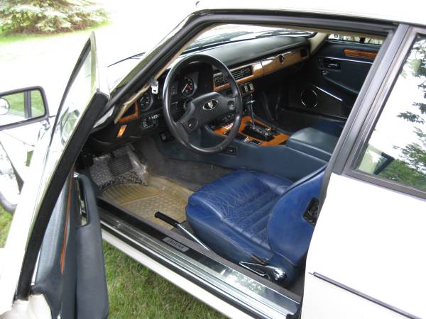 00d0d_9o1MjG6jxGc_600x450