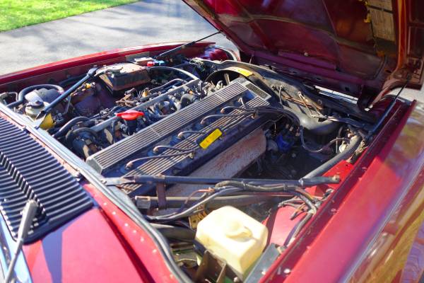 00i0i_fMBppNuw2zG_600x450