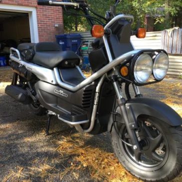 2006 Honda Big Ruckus PS250. As Pretty as the Little Ruckus?