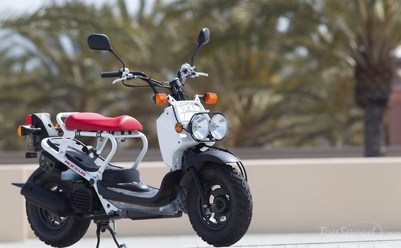 2012-honda-ruckus-3_800x0w