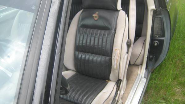 00e0e_kuh4PwuoeXw_600x450