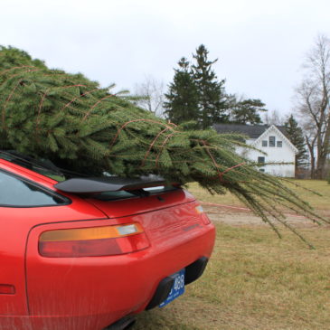Merry Christmas 2016!