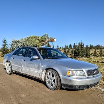Merry Christmas!